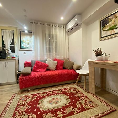 Central Welcoming Apartment In ティラナ エクステリア 写真