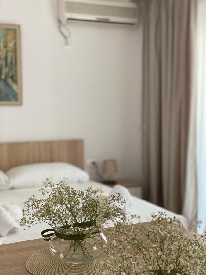Central Welcoming Apartment In ティラナ エクステリア 写真