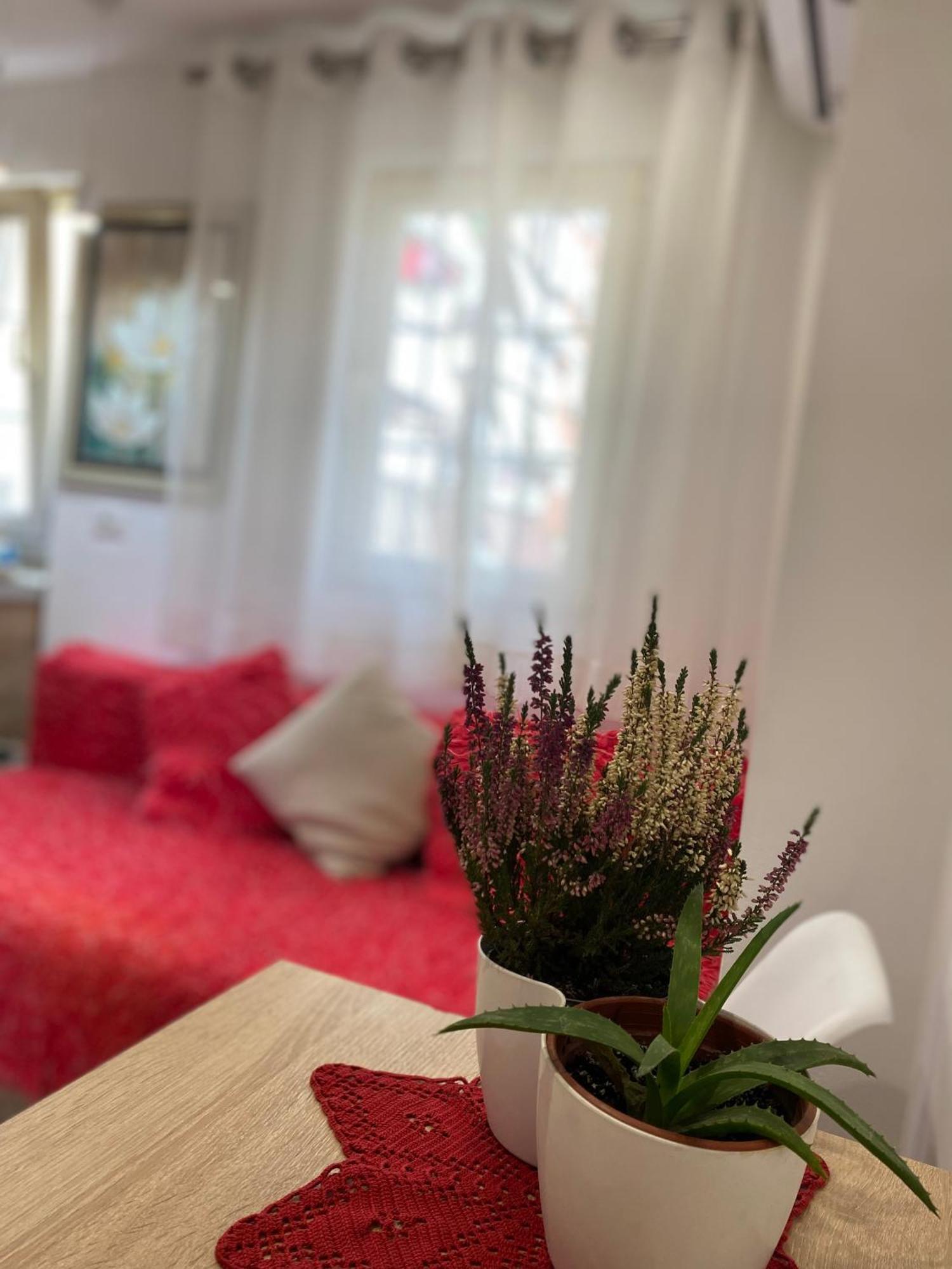 Central Welcoming Apartment In ティラナ エクステリア 写真